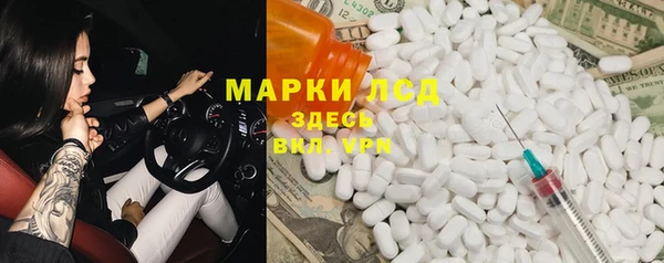 индика Туринск