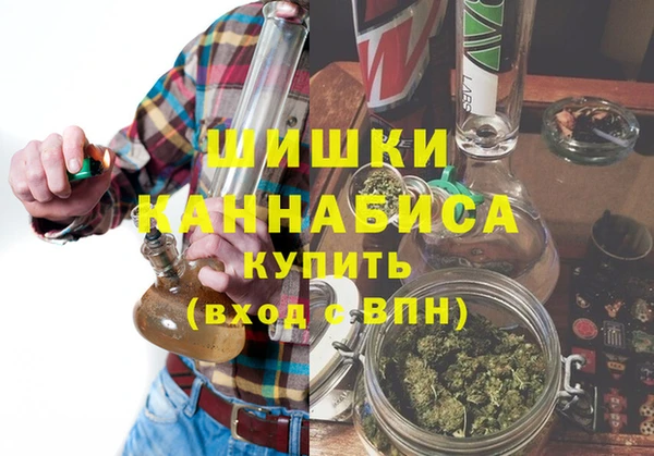 индика Туринск
