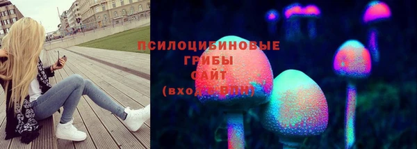 ПСИЛОЦИБИНОВЫЕ ГРИБЫ Тында