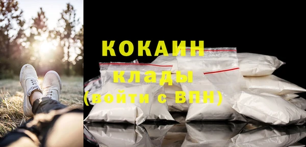 ПСИЛОЦИБИНОВЫЕ ГРИБЫ Тында