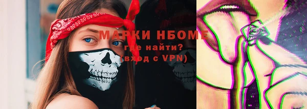 индика Туринск