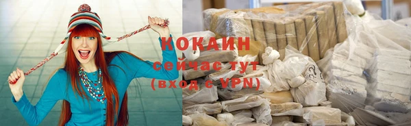 индика Туринск