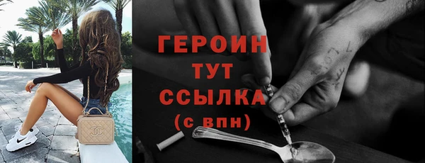 индика Туринск