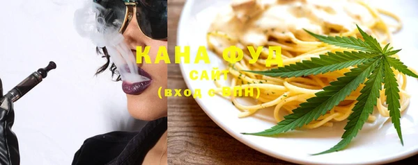 индика Туринск