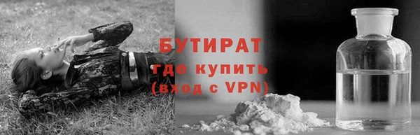 индика Туринск