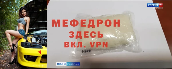 индика Туринск