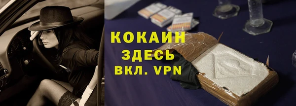 ПСИЛОЦИБИНОВЫЕ ГРИБЫ Тында