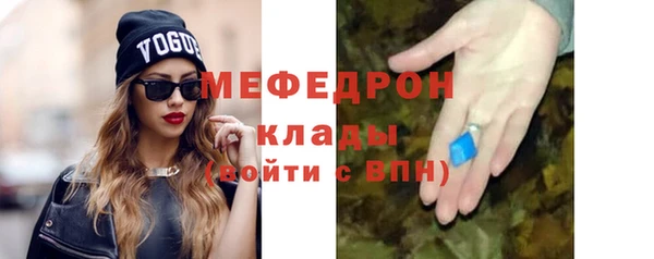 индика Туринск