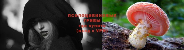 ПСИЛОЦИБИНОВЫЕ ГРИБЫ Тында