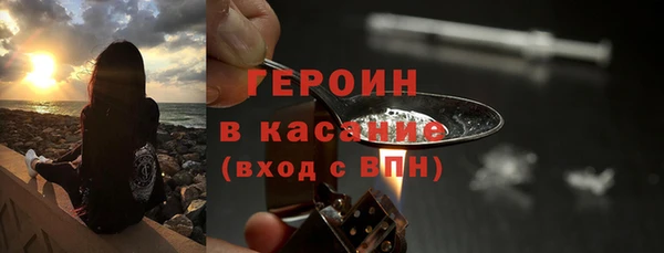 индика Туринск