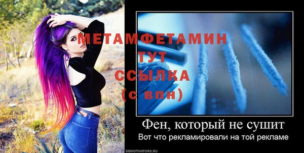 индика Туринск