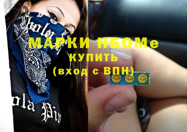 индика Туринск