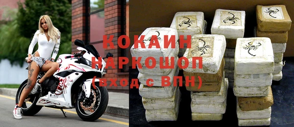 индика Туринск