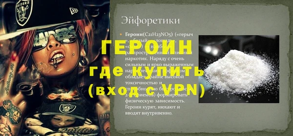 индика Туринск