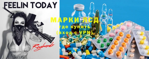 ПСИЛОЦИБИНОВЫЕ ГРИБЫ Тында