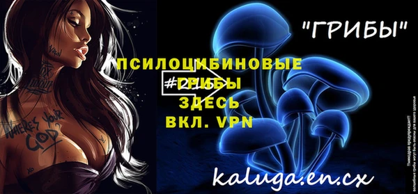 индика Туринск