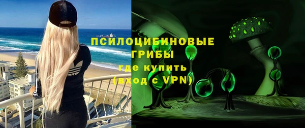 ПСИЛОЦИБИНОВЫЕ ГРИБЫ Тында