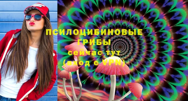 ПСИЛОЦИБИНОВЫЕ ГРИБЫ Тында