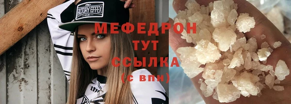 индика Туринск
