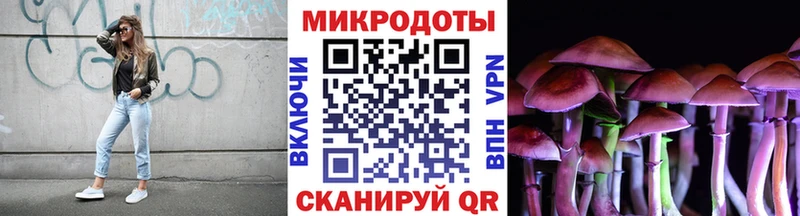Галлюциногенные грибы Psilocybe  дарк нет формула  Цивильск 